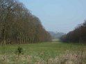 2013-04-04 11-21-03 Bois de Meudon Matin YLe